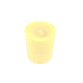 Tyler Candle Company Pineapple Crush® Scented Candles – All Sizes