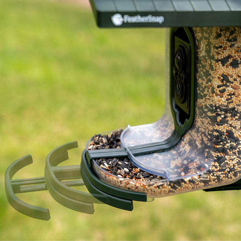 FeatherSnap Scout - WiFi Bird Feeder