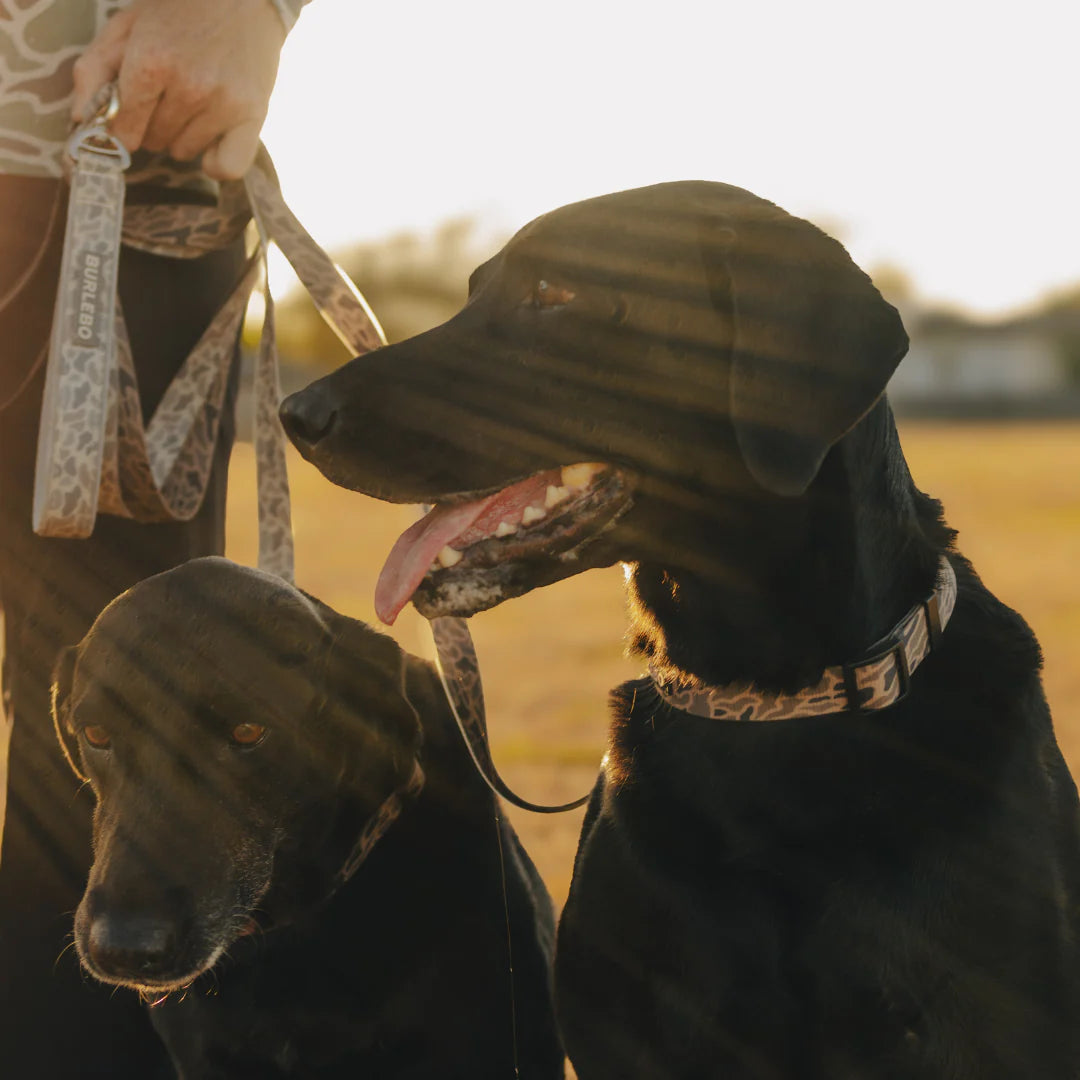 Burlebo Dog Leash