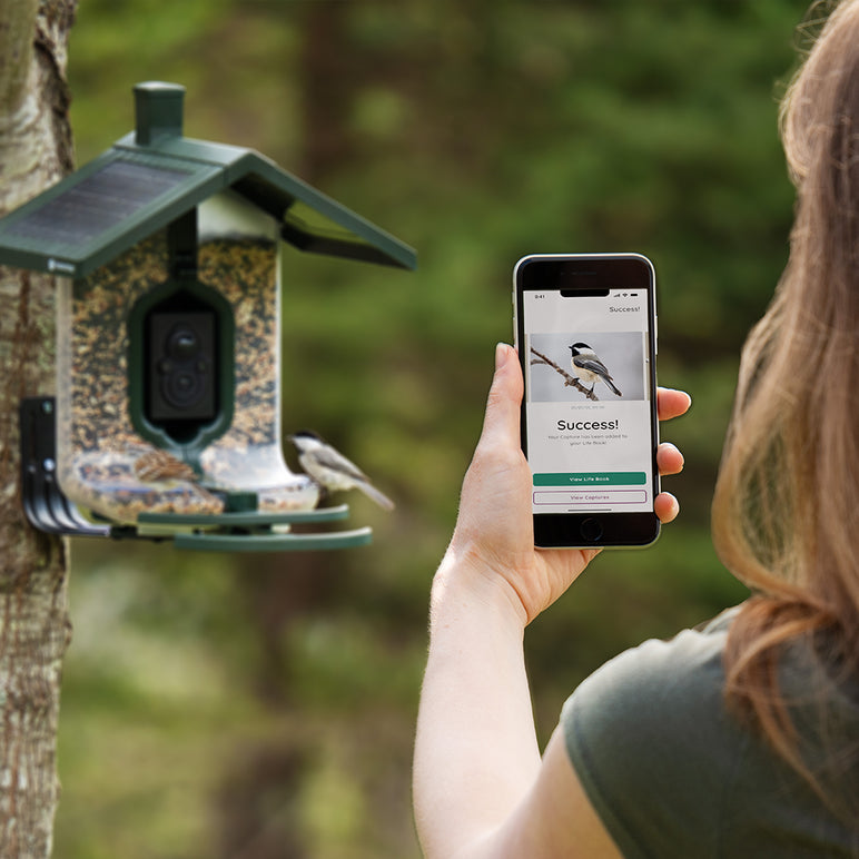 FeatherSnap Scout - WiFi Bird Feeder
