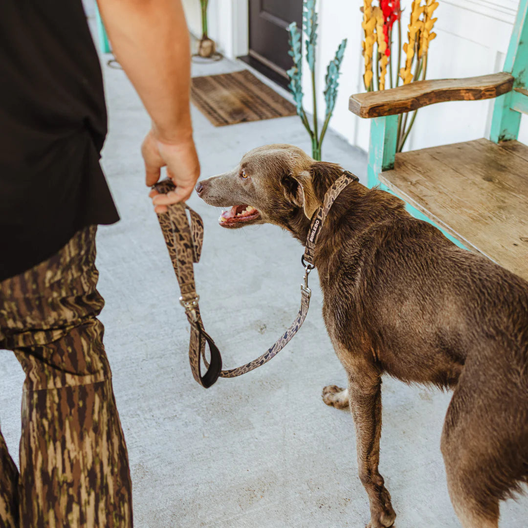 Burlebo Dog Leash