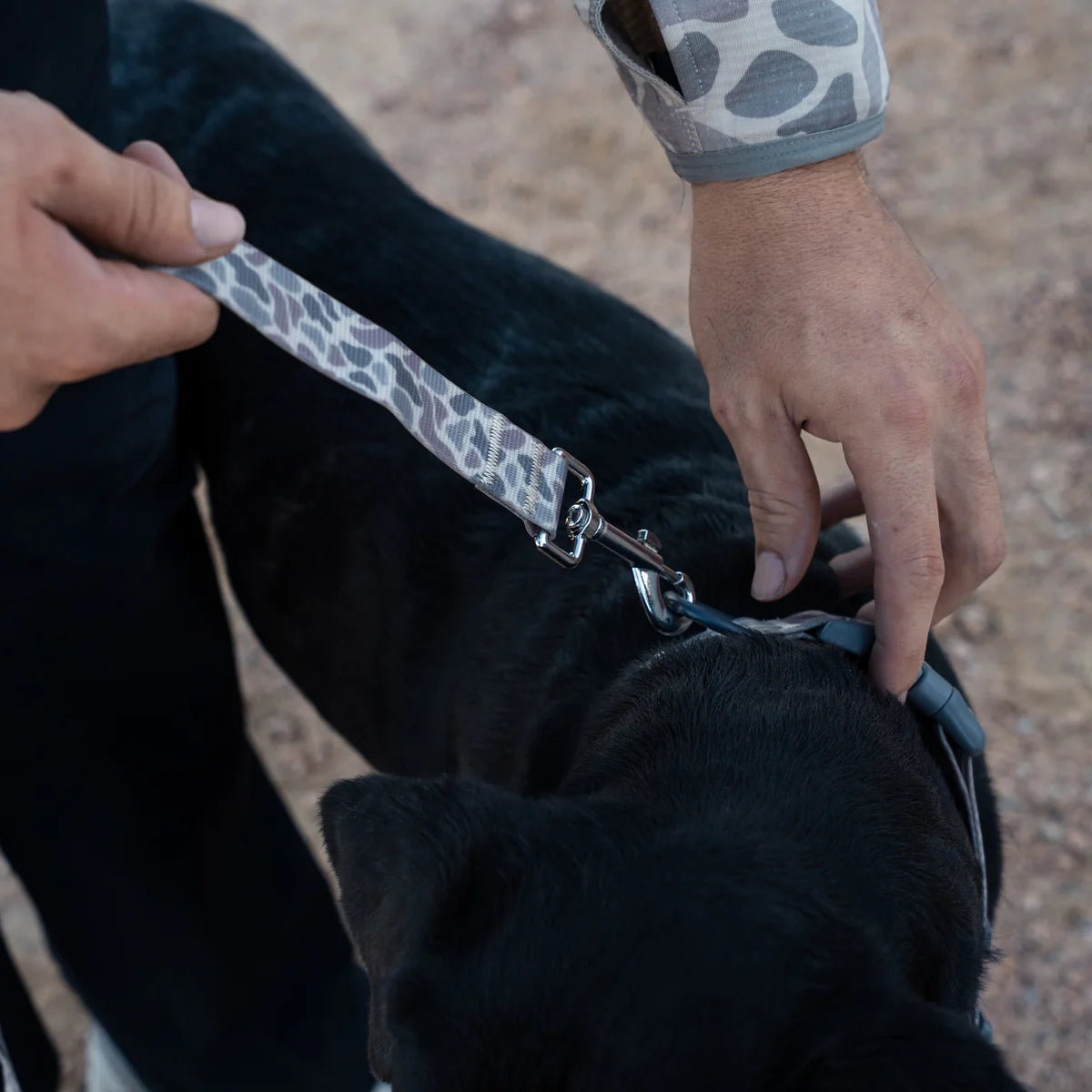 Burlebo Dog Leash