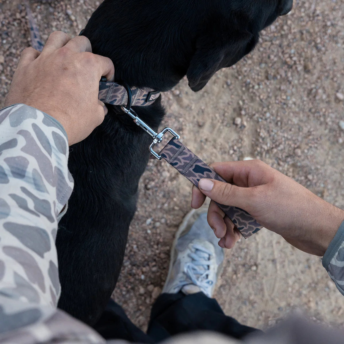 Burlebo Dog Leash