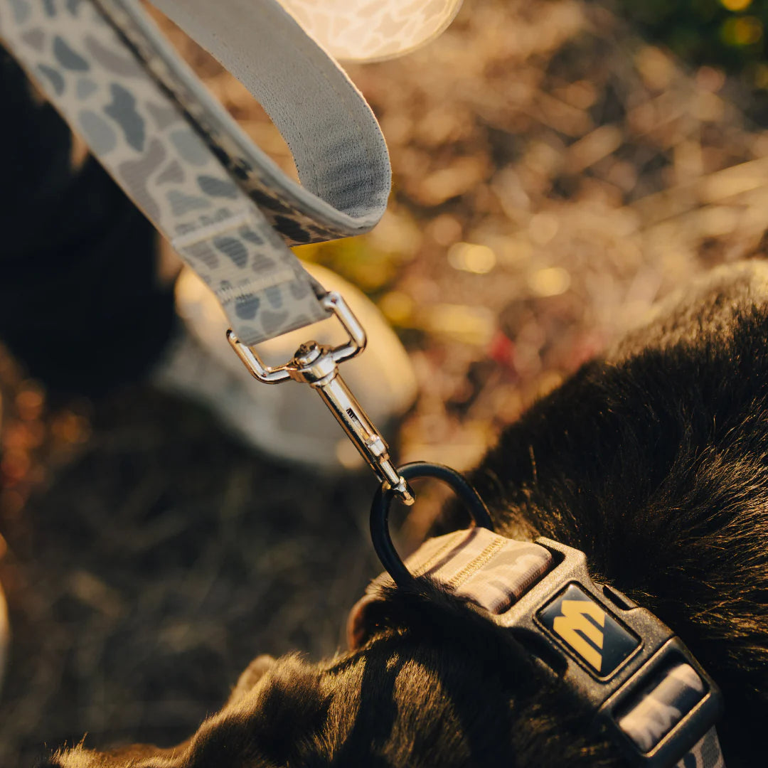 Burlebo Dog Leash