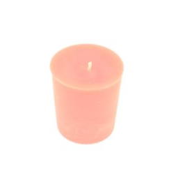 Tyler Candle Company Mediterranean Fig® Scented Candles – All Sizes