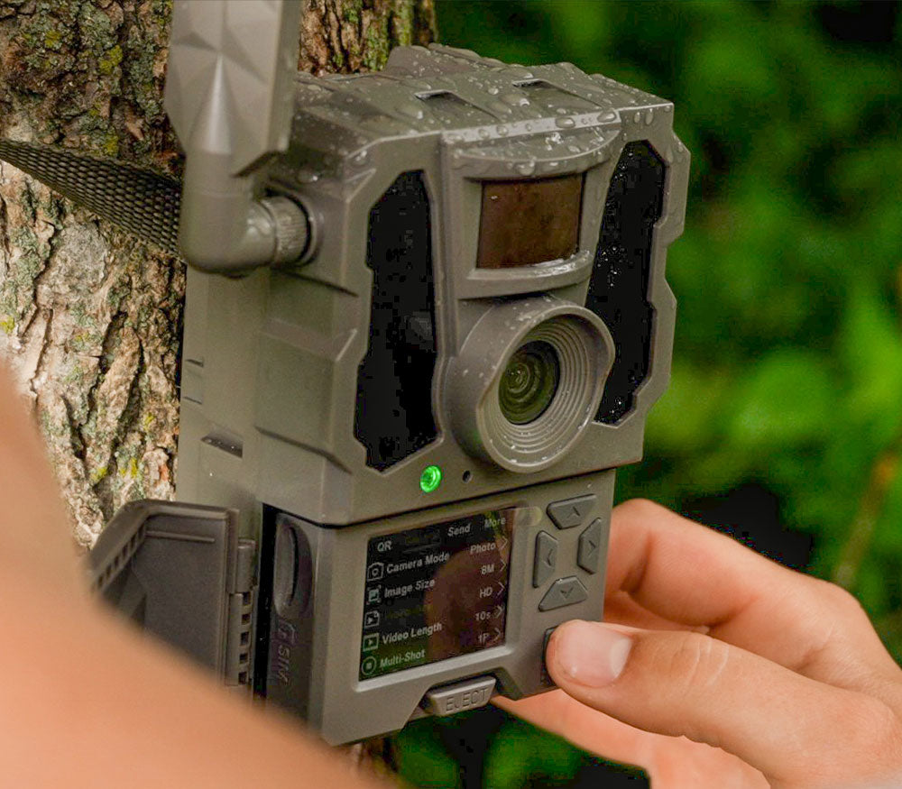Trail Camera Monitor Trail Cameras For Wildlife Monitoring