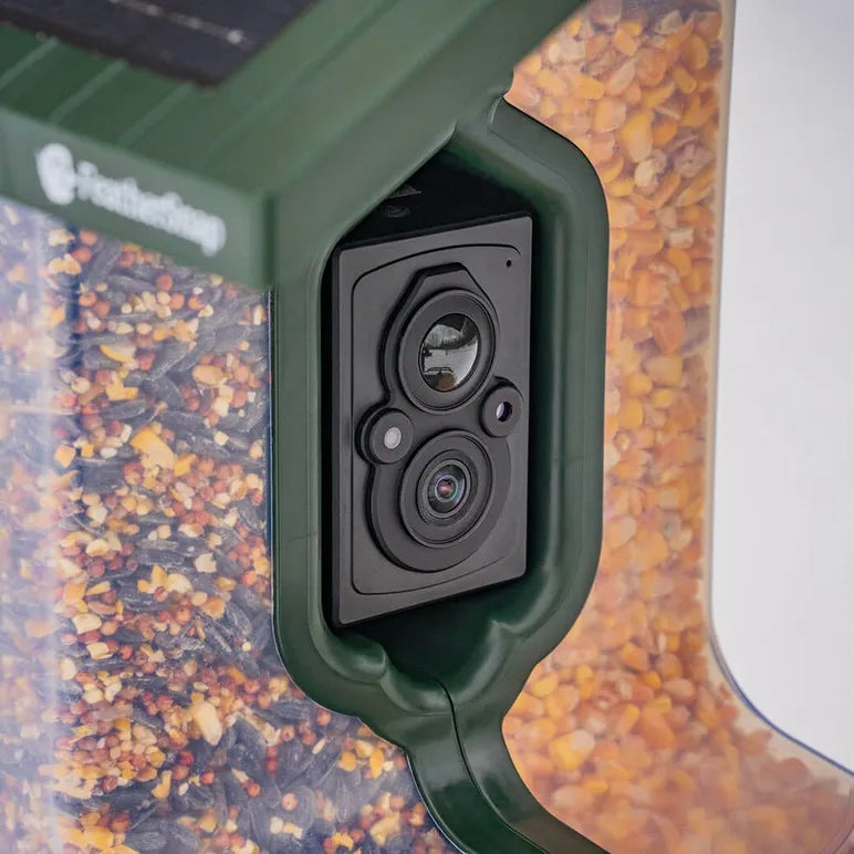 FeatherSnap Scout - WiFi Bird Feeder