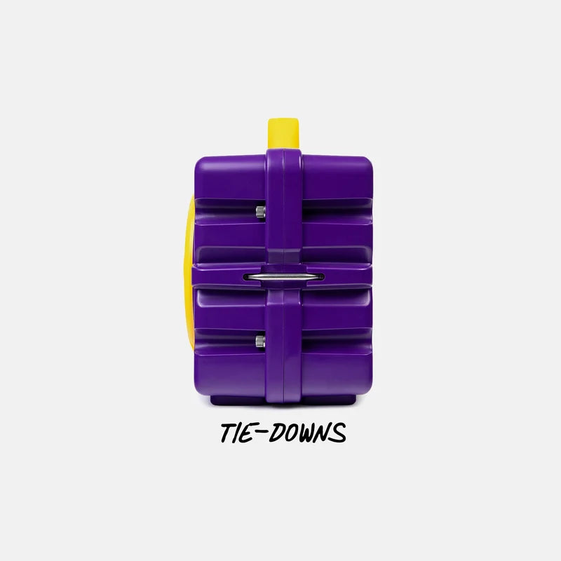 Turtlebox Original: GEN 3 - Game Day Color - Purple & Gold